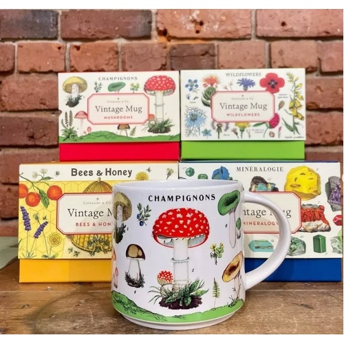 Mugs and cups