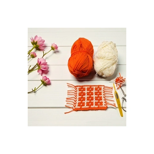Overlay mosiac crochet class