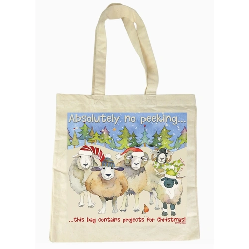 Projects for Christmas tote