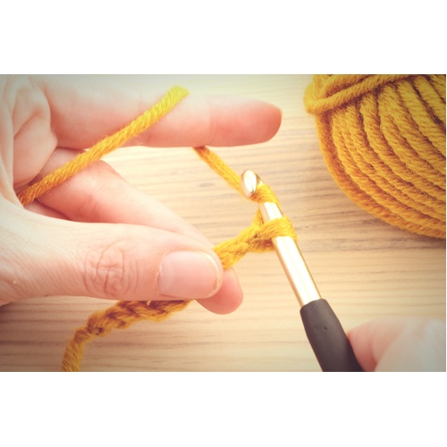 Beginner Crochet